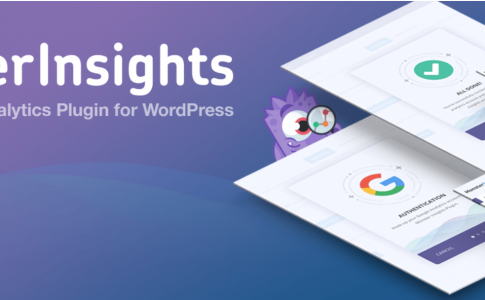 Google Analytics by MonsterInsight