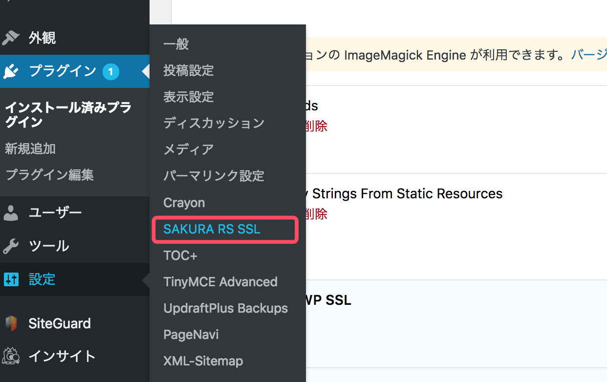 SAKURA RS WP SSLのインストール