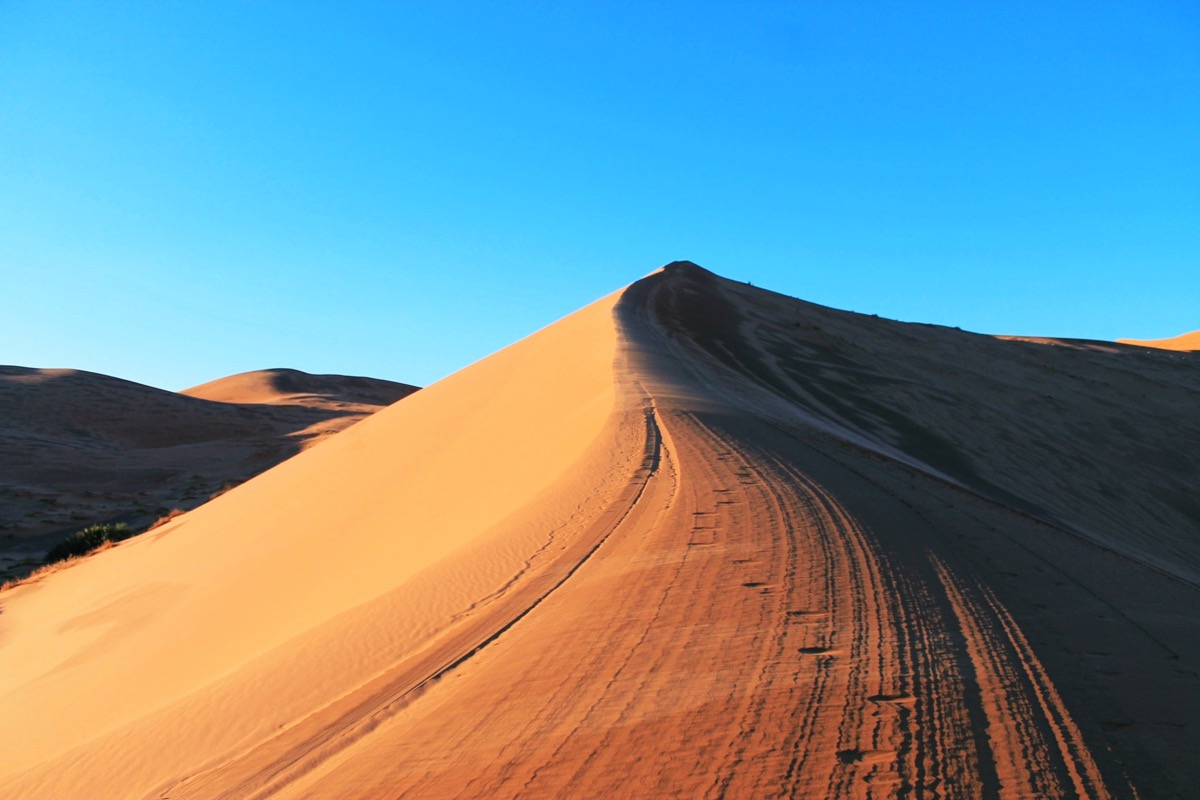 サハラ砂漠の砂丘