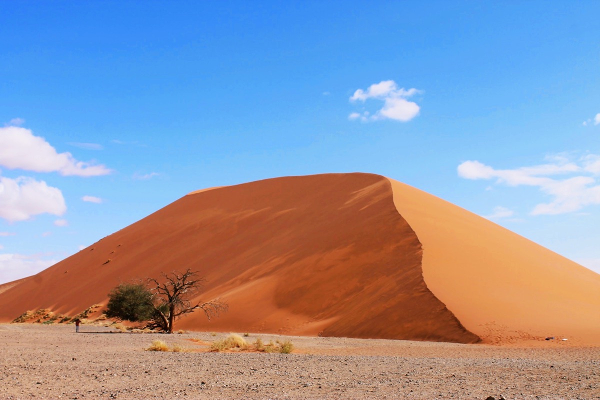 ナミブ砂漠の巨大砂丘